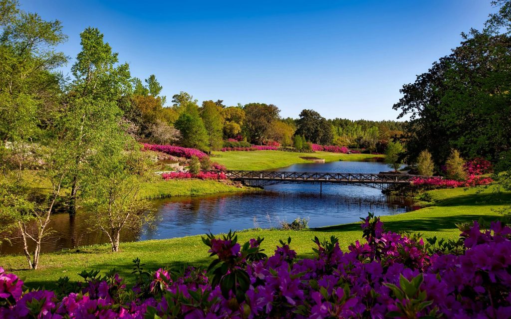 landscaping services in puerto rico